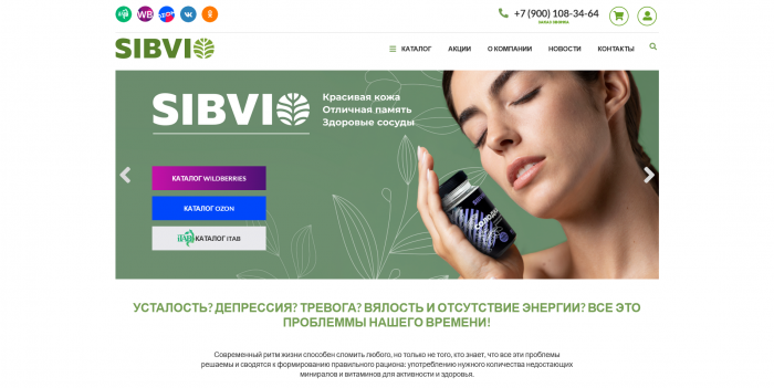Создание сайта интернет магазина в Павловской 
